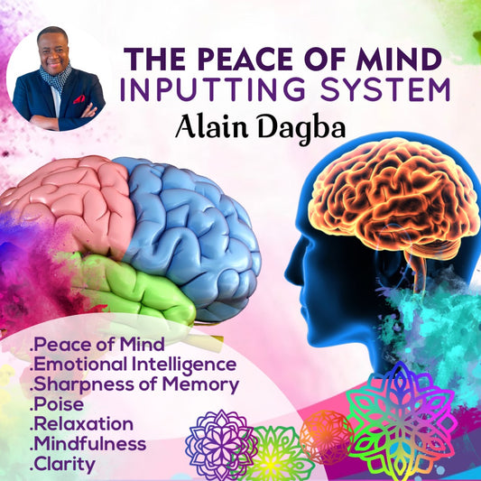 THE PEACE OF MIND INPUTING SYSTEM
